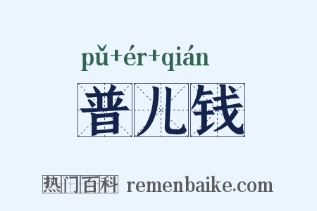 普儿钱是什么意思的图片